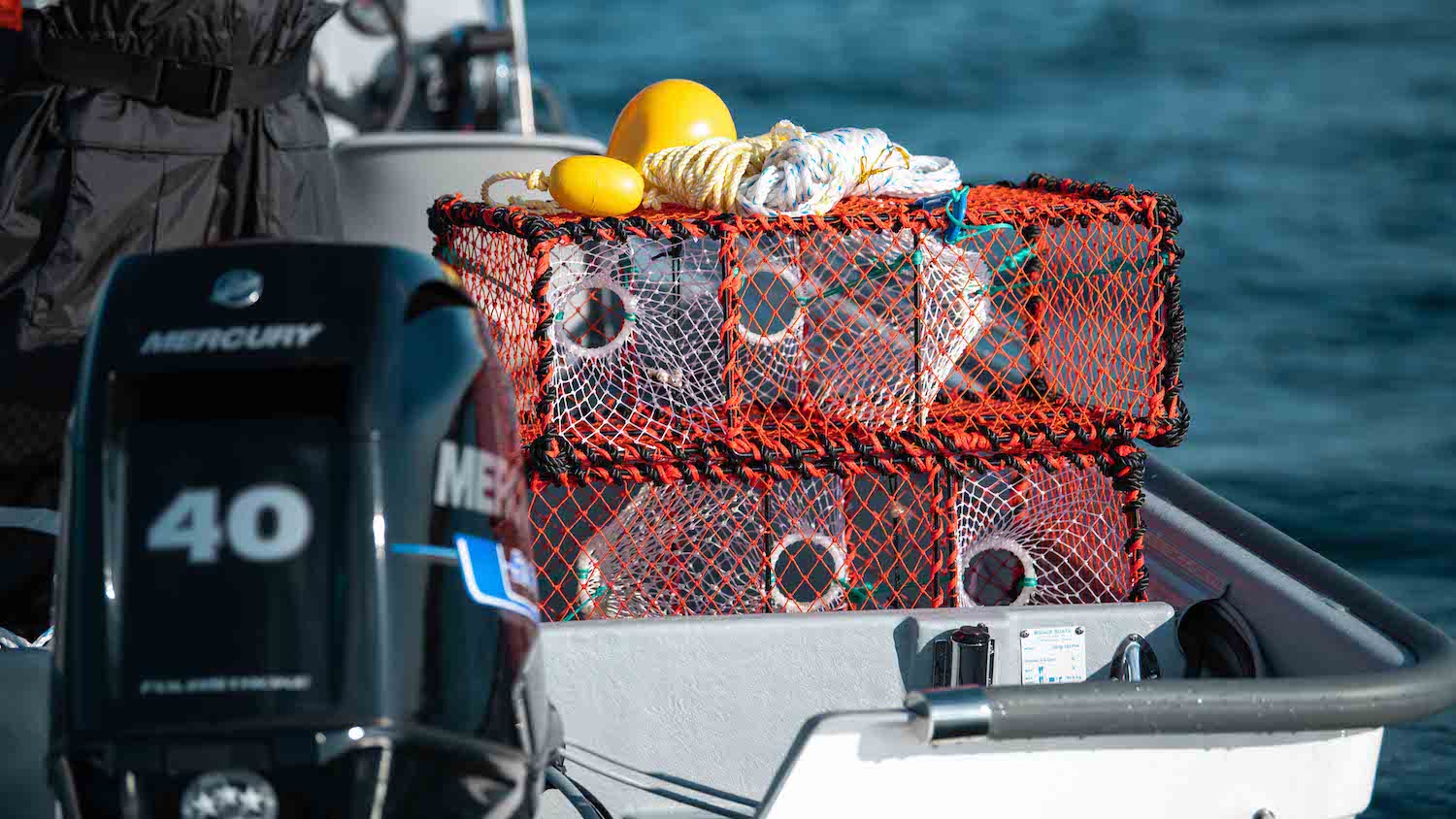 Sting 535 PRO - Bilde 6